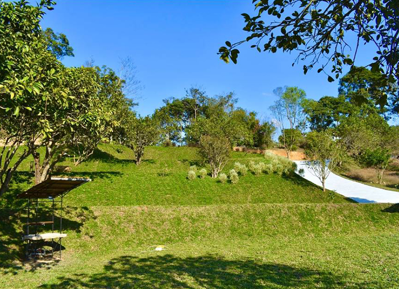 阿義果園