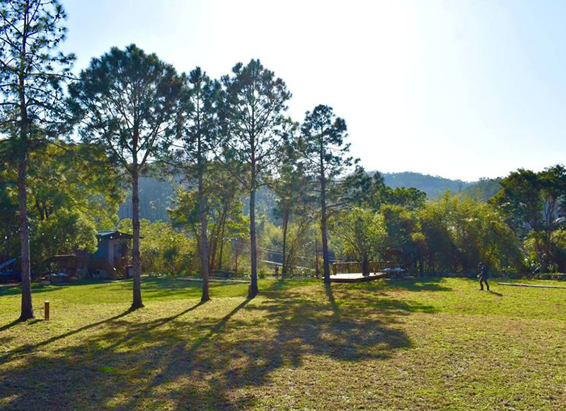阿義果園