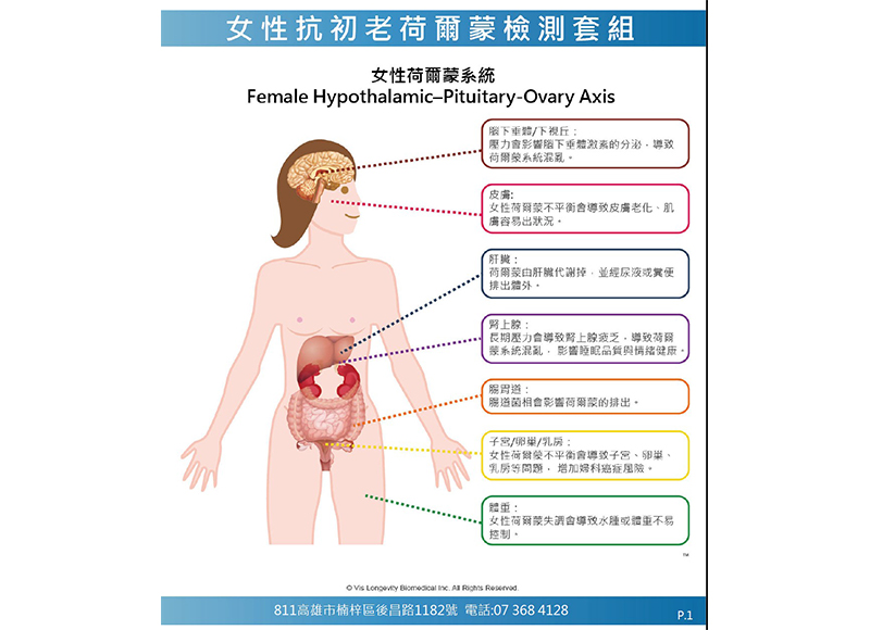 功能醫學檢測