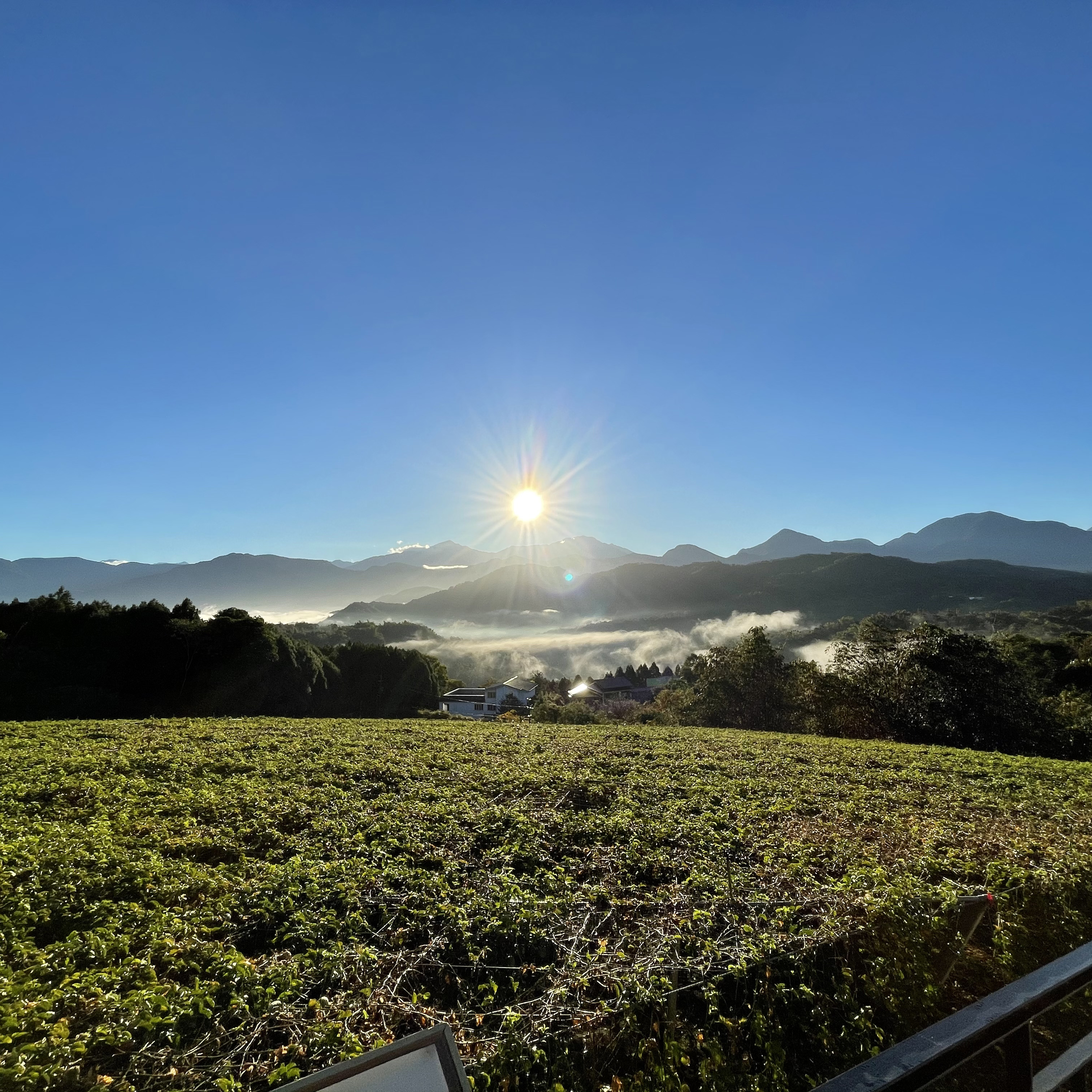 埔里日月潭民宿環境與早餐