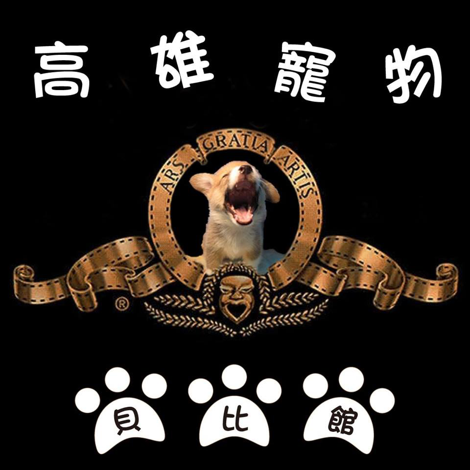 貝比寵物美容生活館|高雄寵物合法買賣,專業寵物藥浴