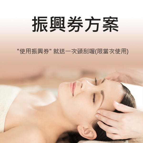 振興券方案
