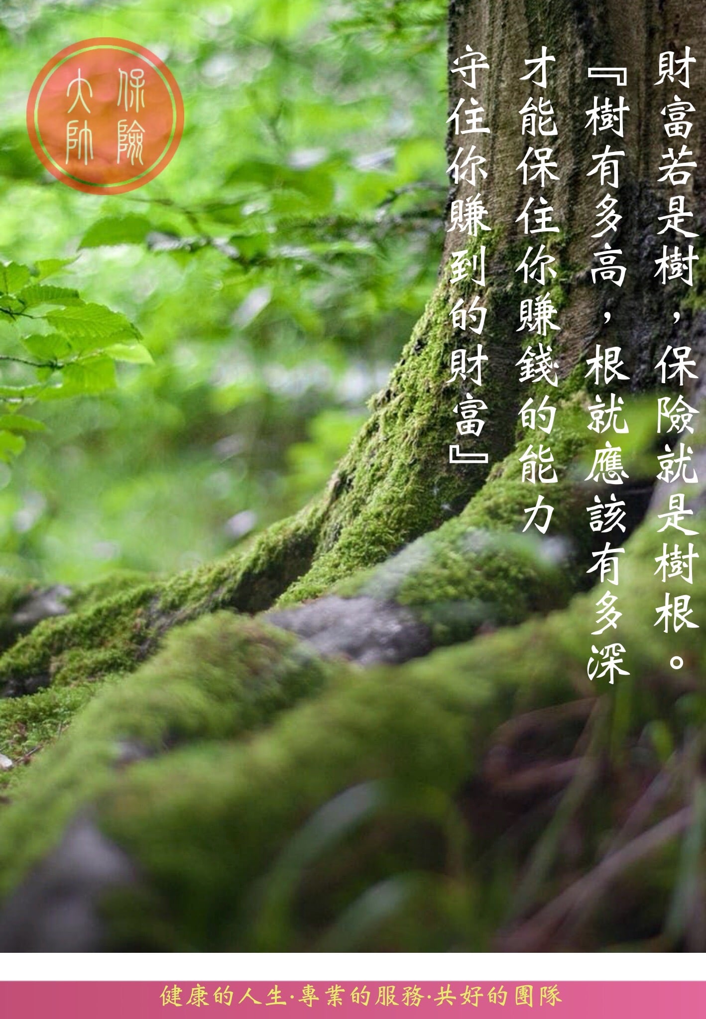全新的消息