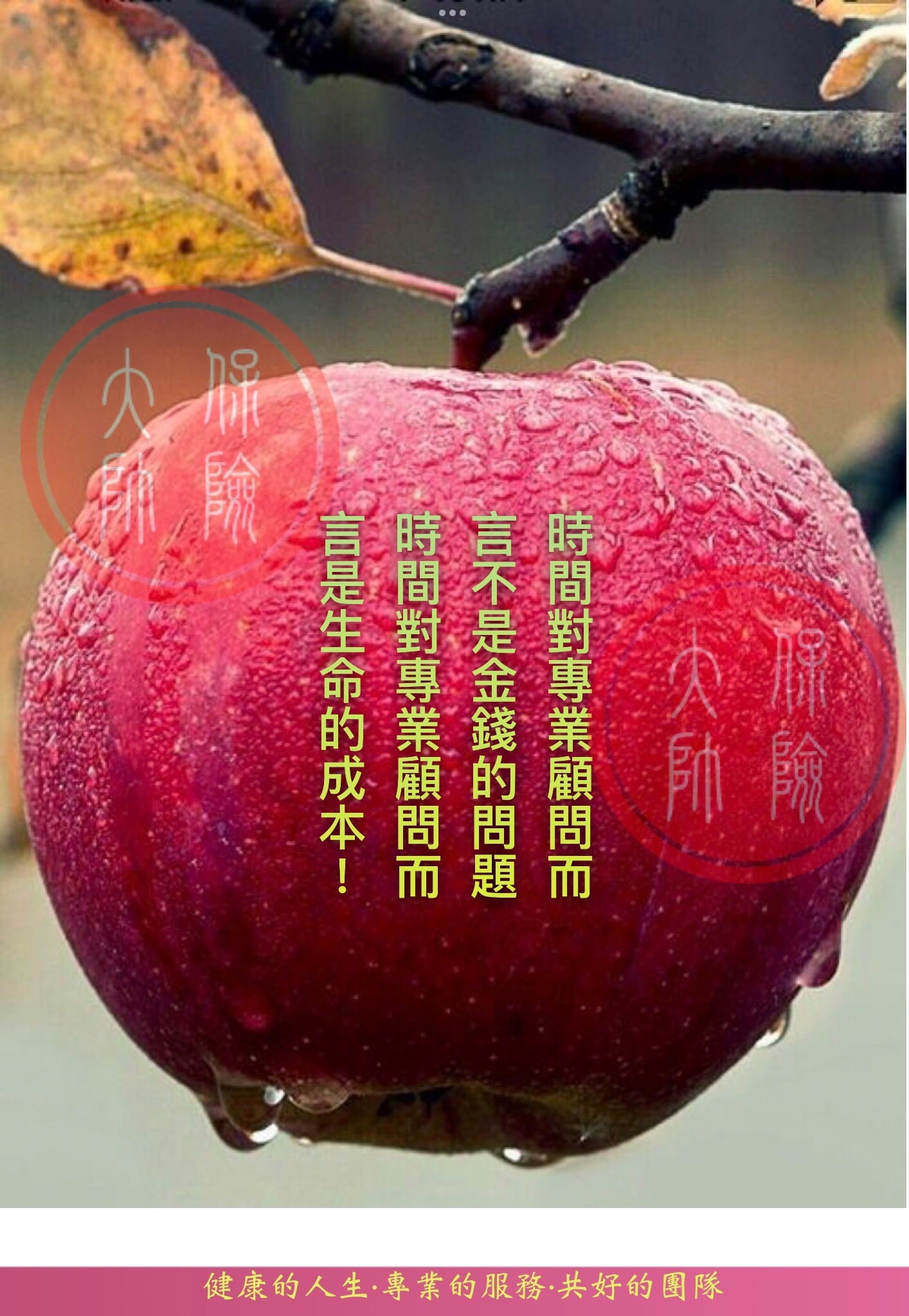 全新的消息