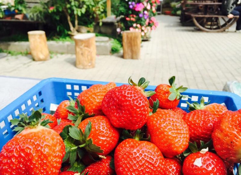 關於我們蘇耐吉廚房