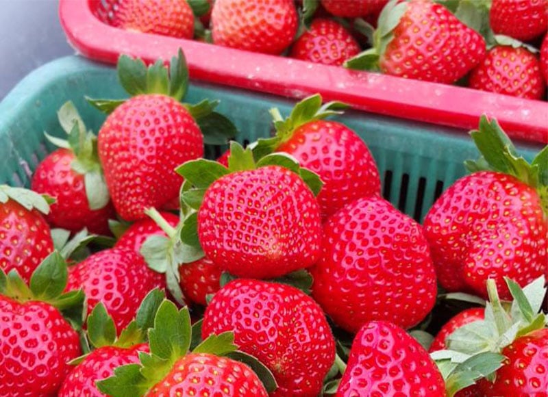 關於我們蘇耐吉廚房