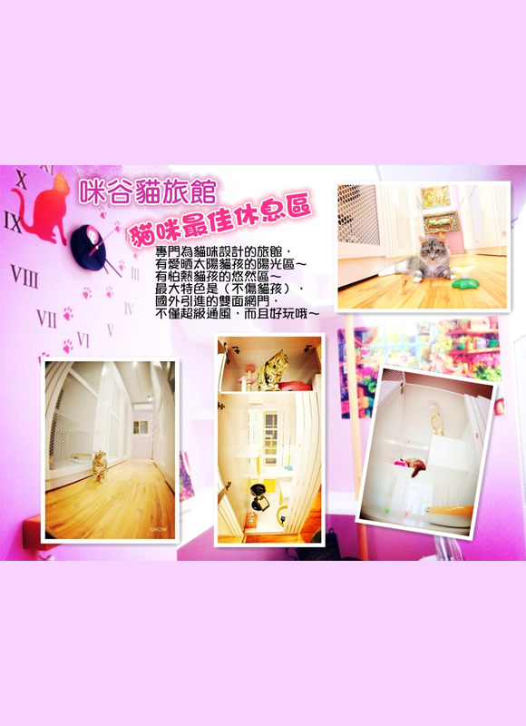關於我們咪谷貓旅館