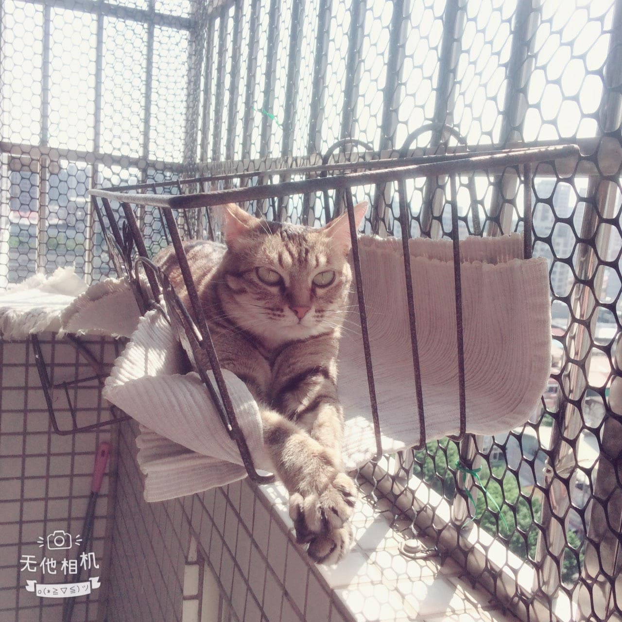 咪谷貓旅館相簿