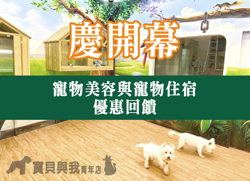 慶開幕寵物美容與寵物住宿優惠回饋
