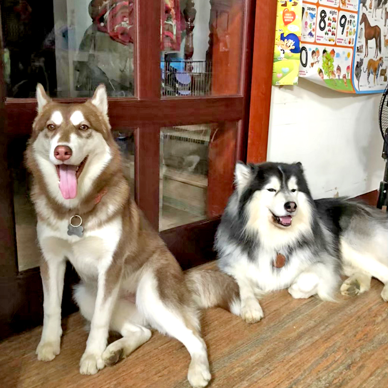 小店長