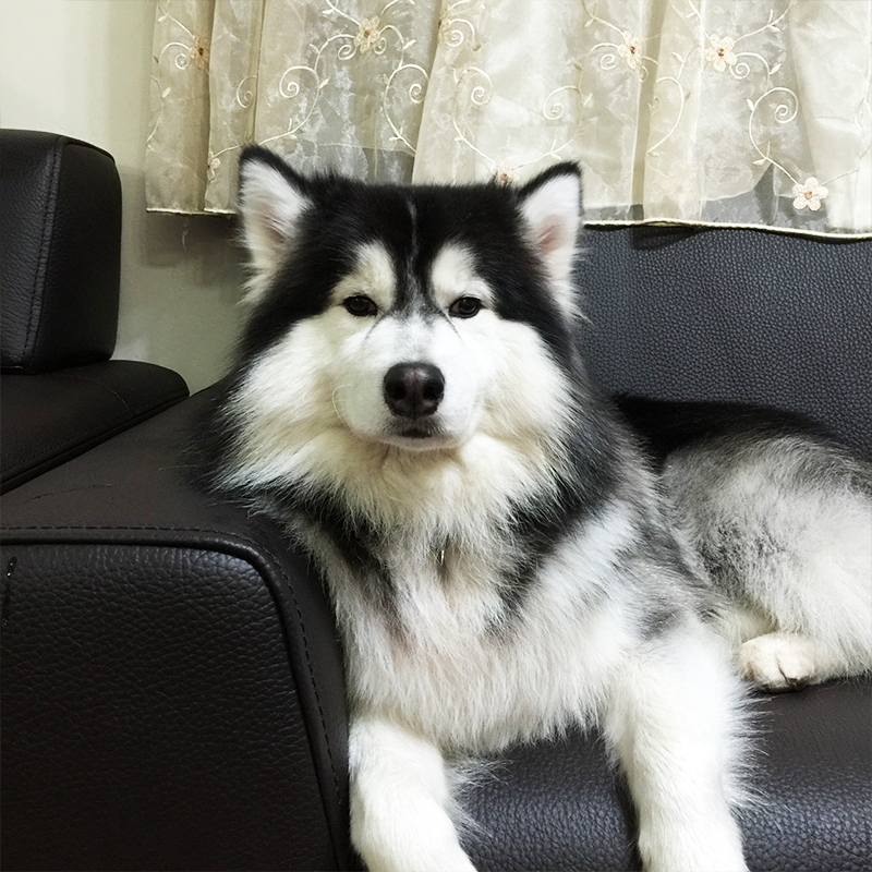 小店長
