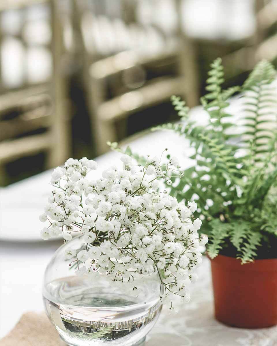 社區植栽