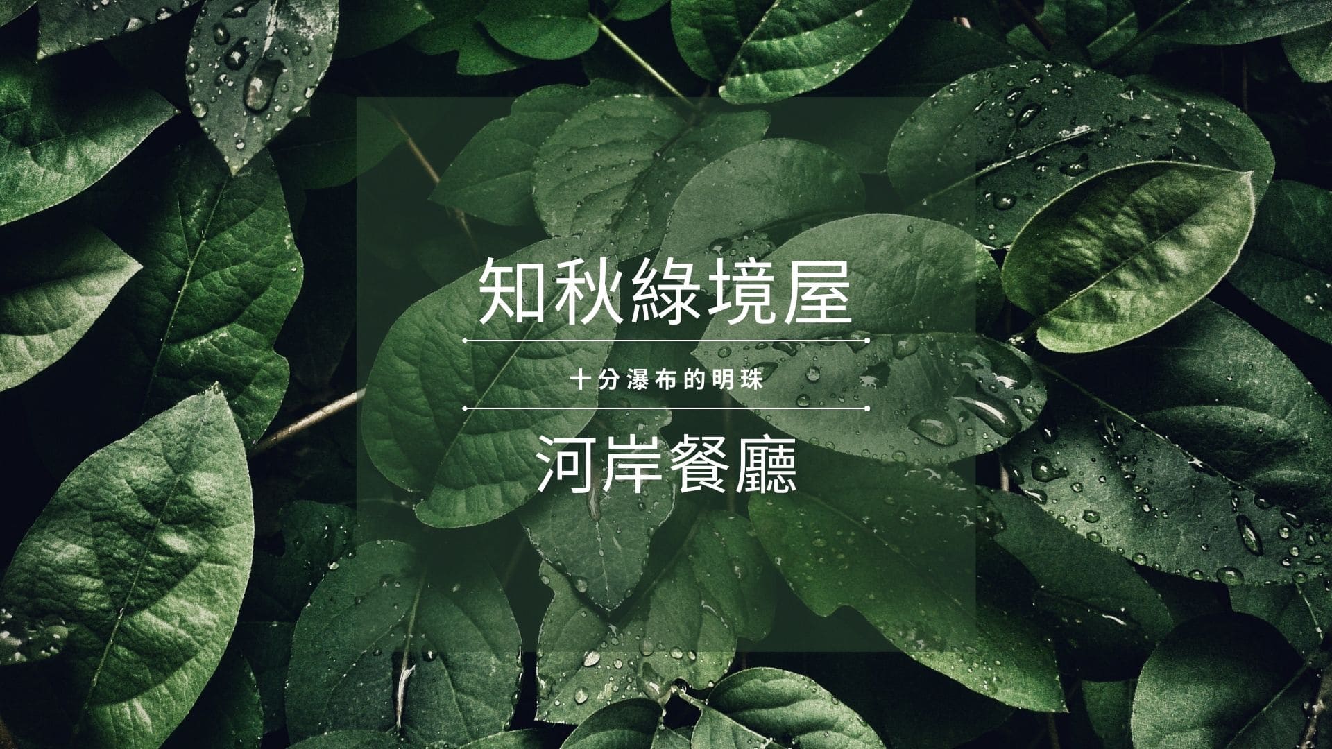 知秋綠境屋河岸餐廳