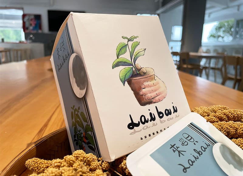 水洗【咖啡豆】