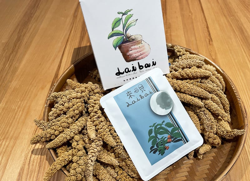 水洗【咖啡豆】