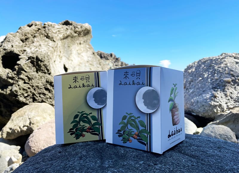 日曬【咖啡豆】