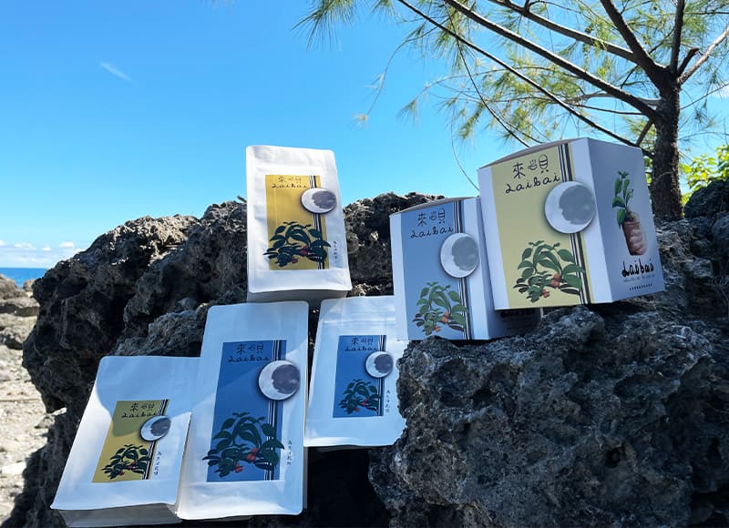 日曬【咖啡豆】