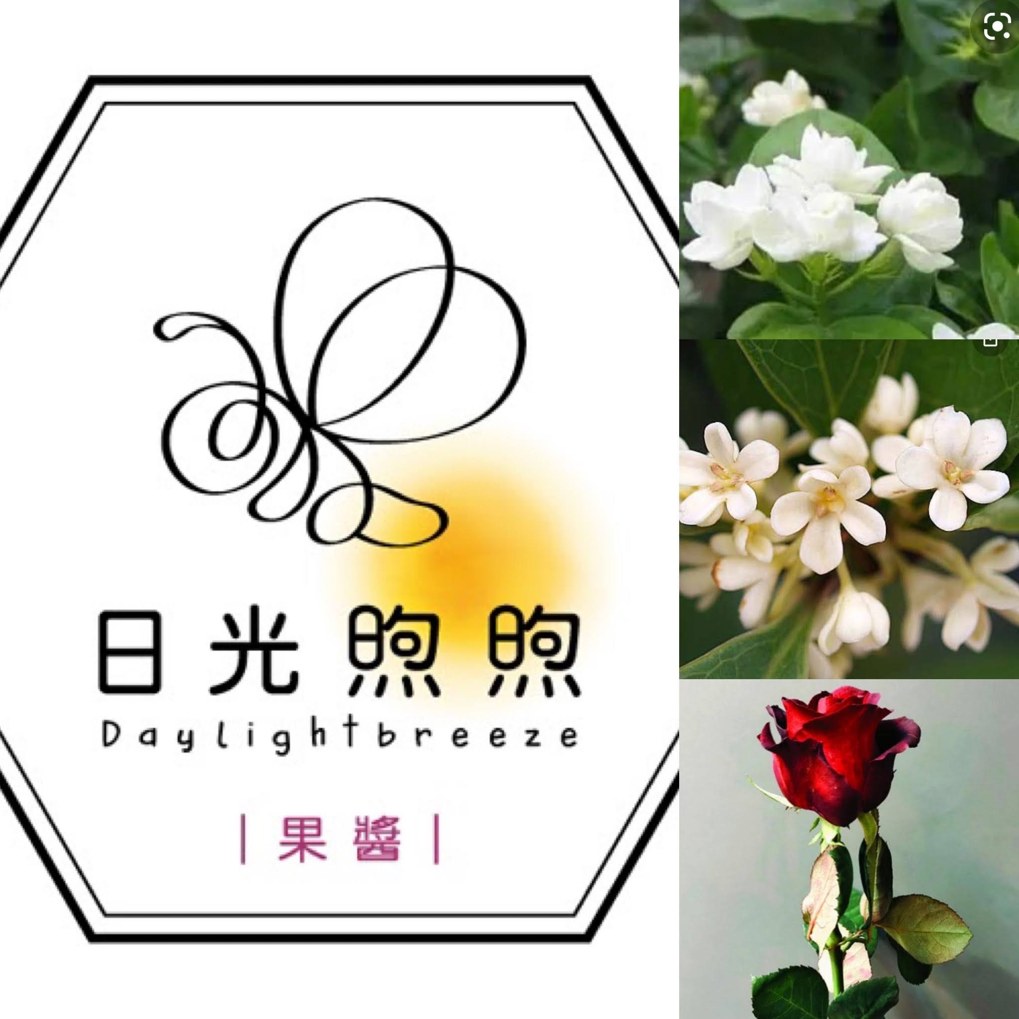關於我們德永業紅龍果農場