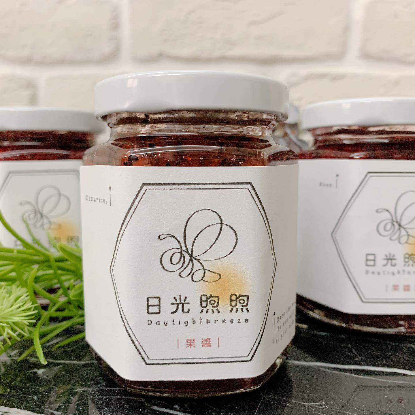 關於我們德永業紅龍果農場