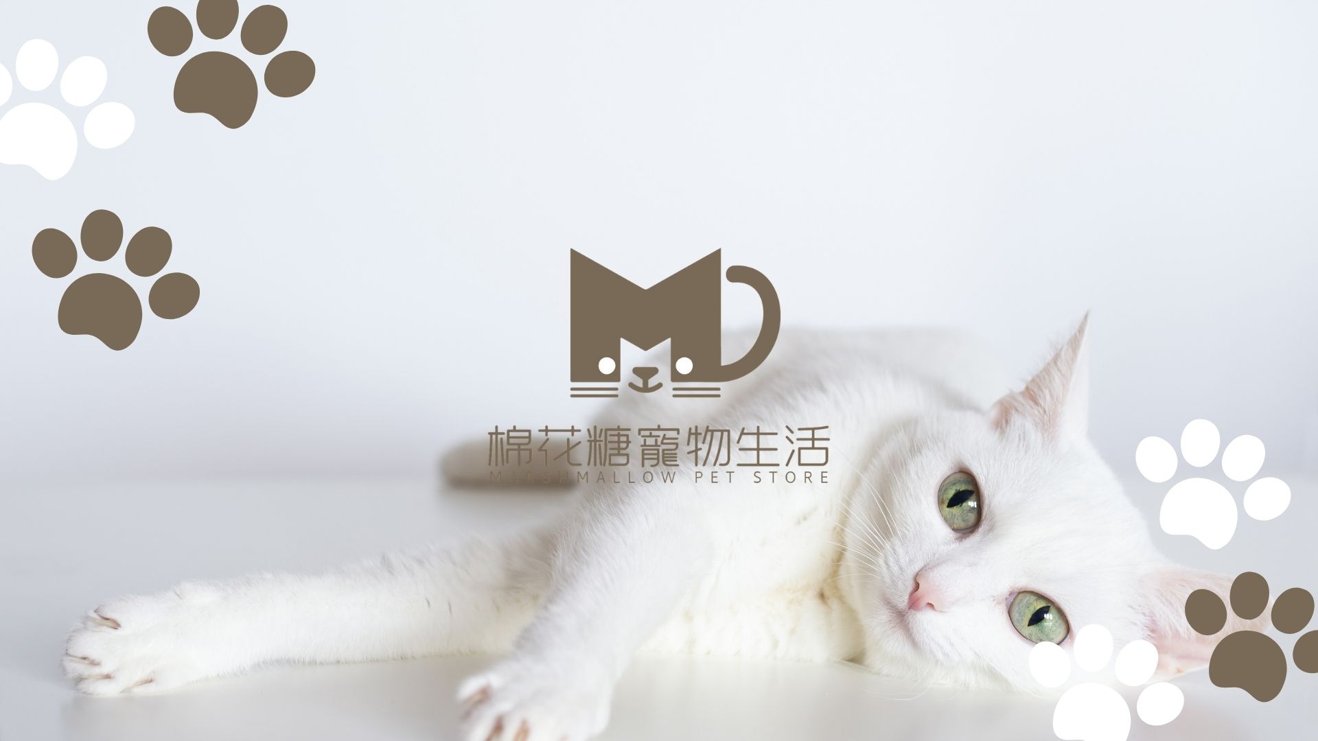 棉花糖寵物生活