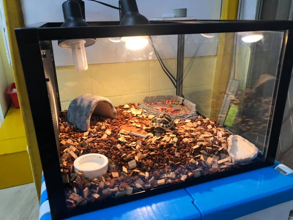 華人幼兒園校園環境