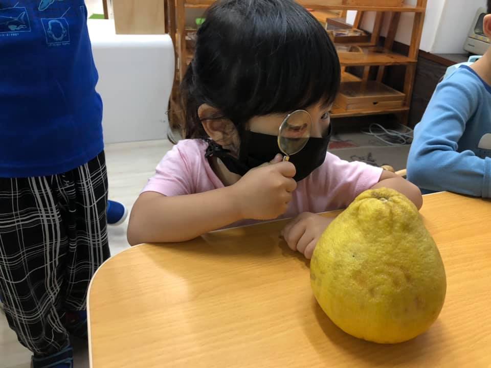 華人幼兒園活動精選