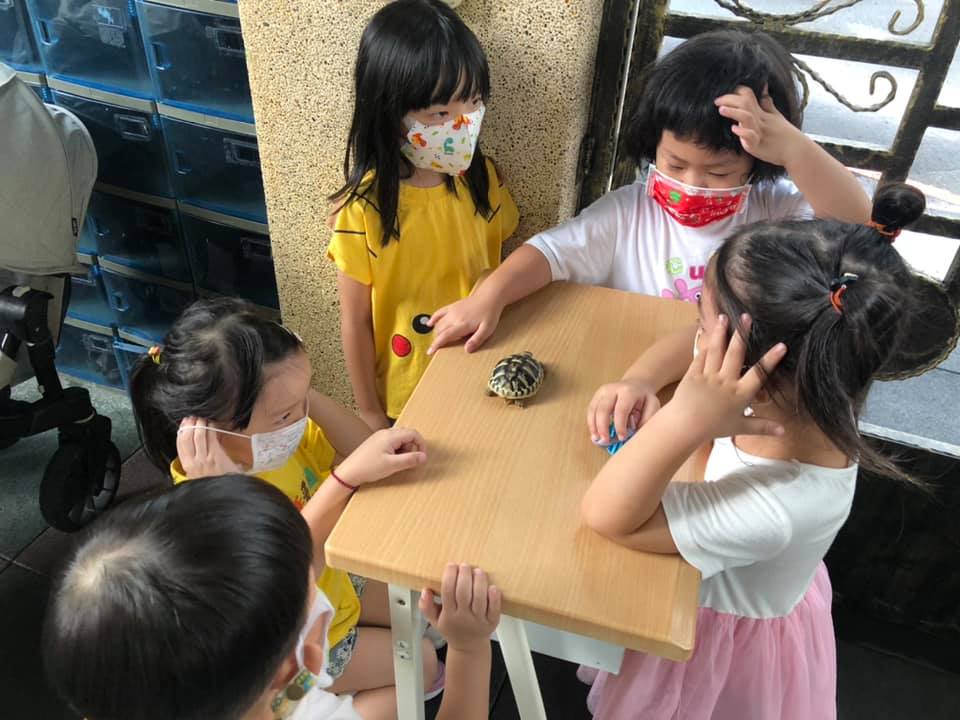 華人幼兒園活動精選