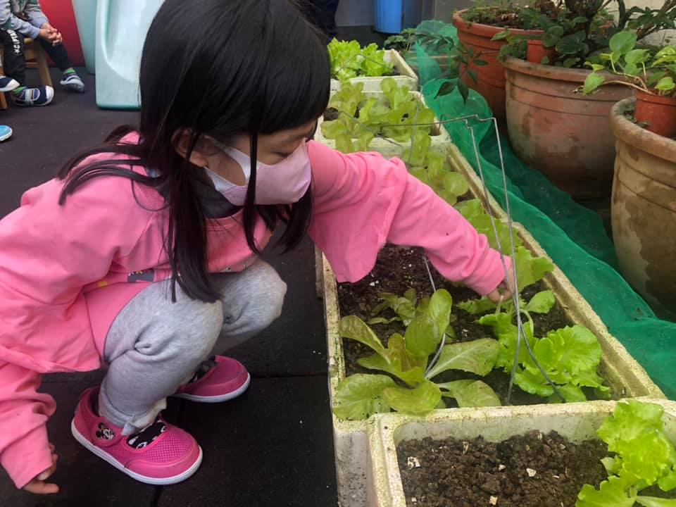 華人幼兒園生活照