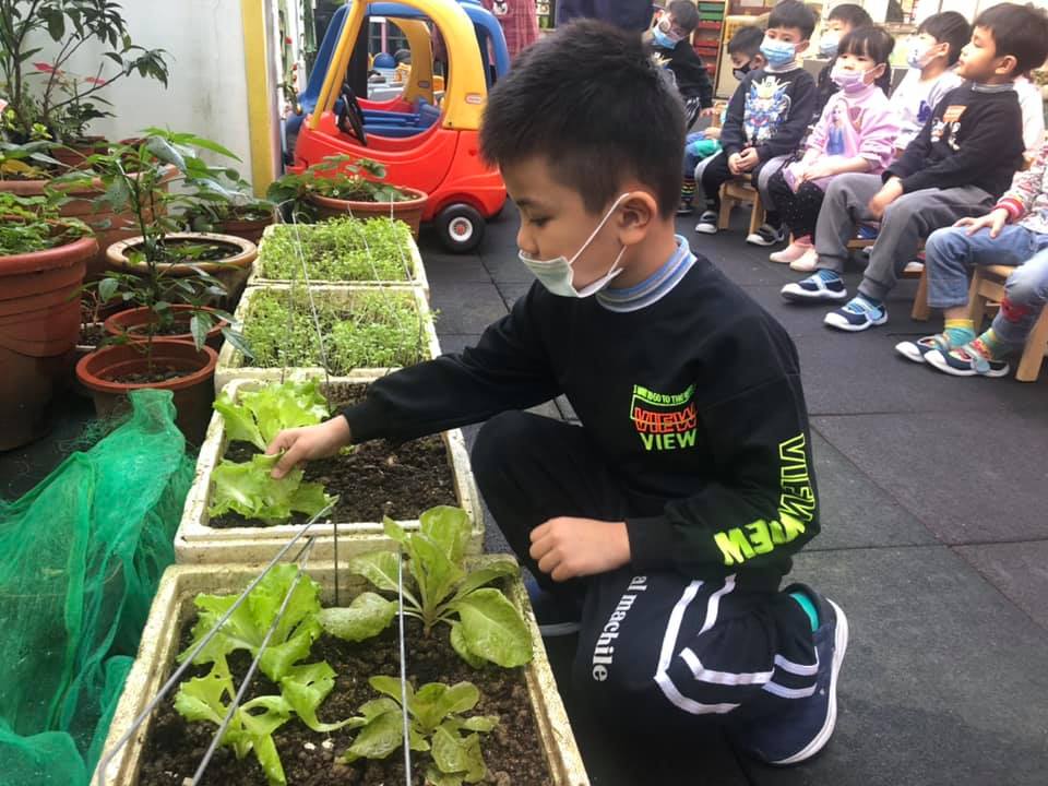 華人幼兒園生活照