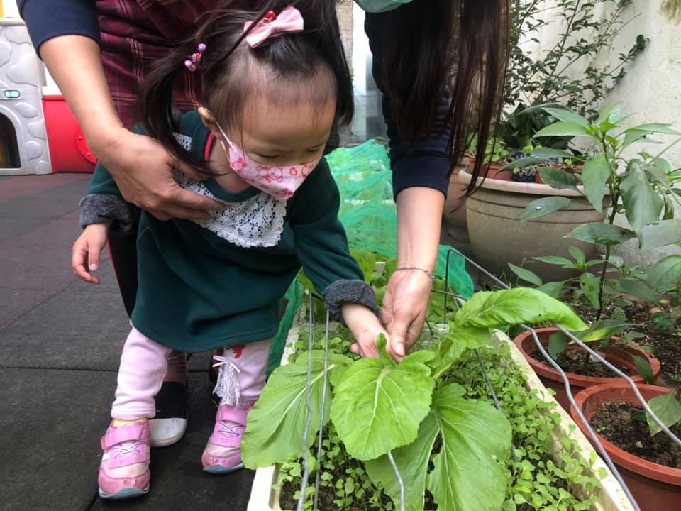 華人幼兒園生活照