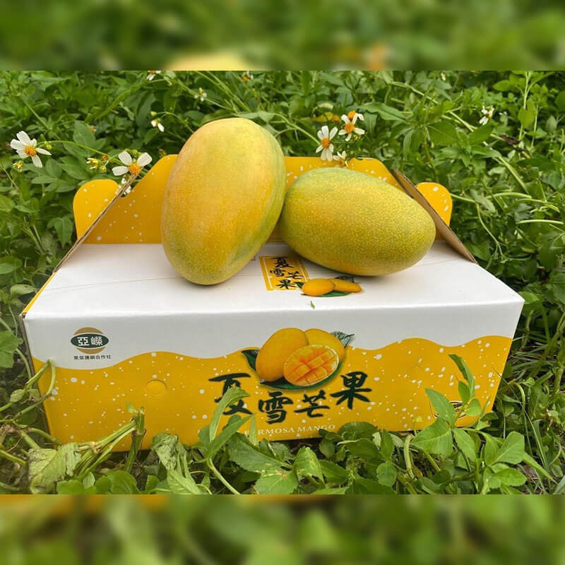 合作小農