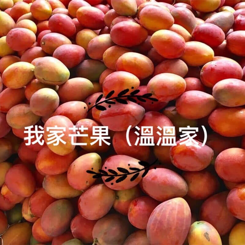 合作小農