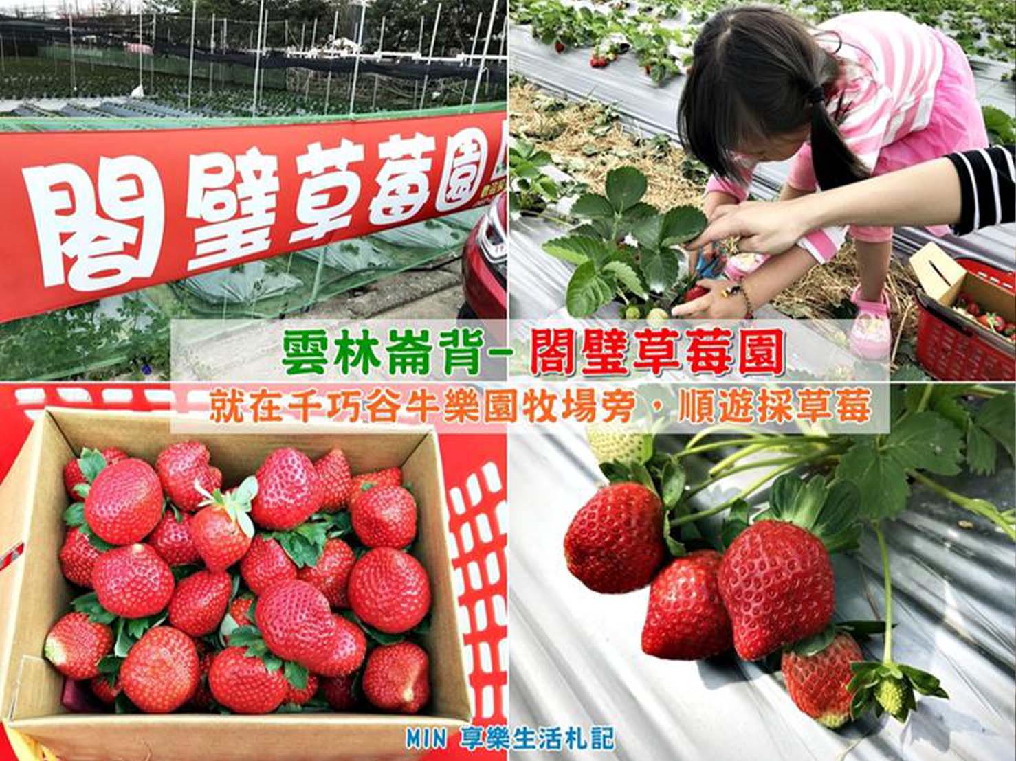 閤璧草莓園 - 採草莓體驗