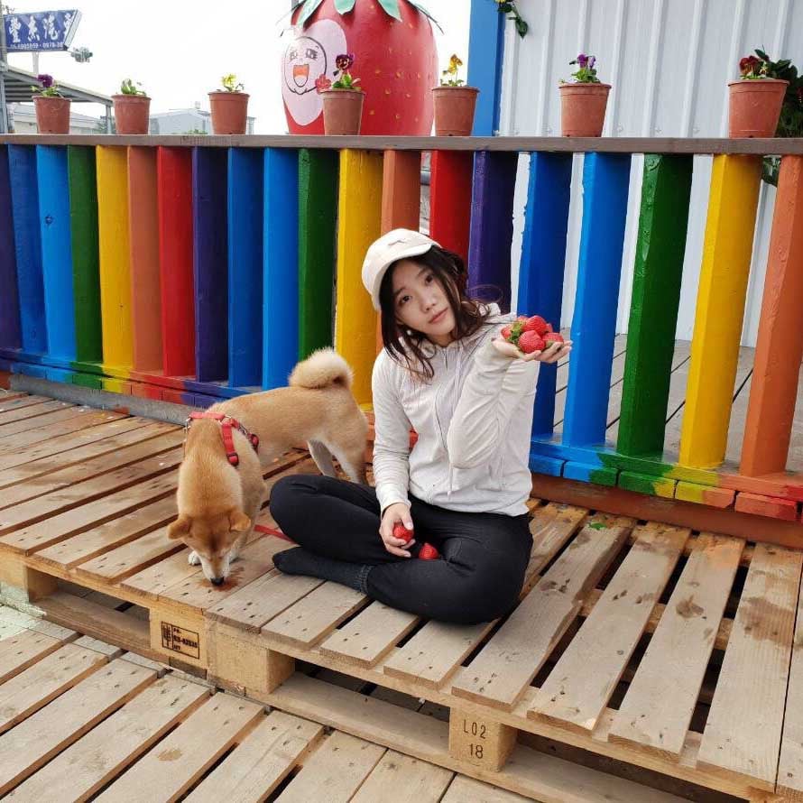 閤璧草莓園 - 草莓特寫