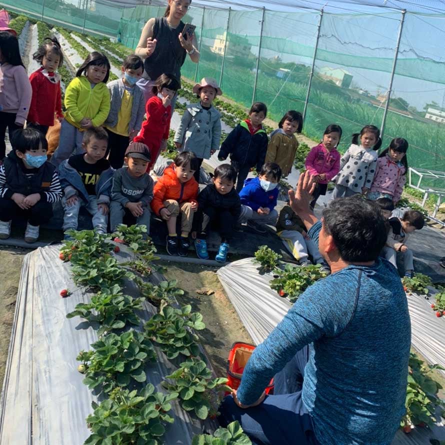 閤璧草莓園 - 草莓 6
