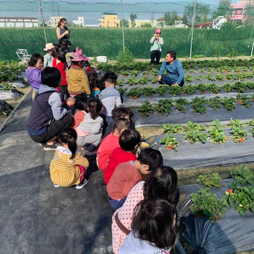 閤璧草莓園 - 草莓 7