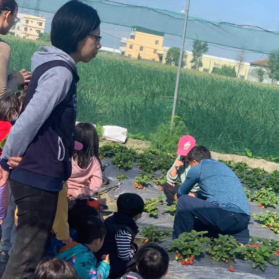 閤璧草莓園 - 草莓 9