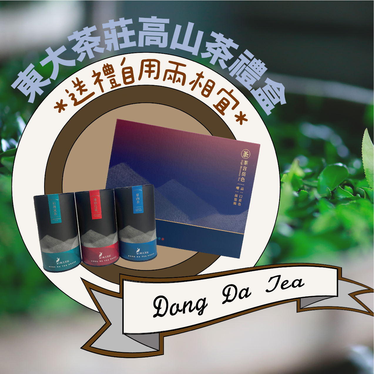 高山茶禮盒限時特惠