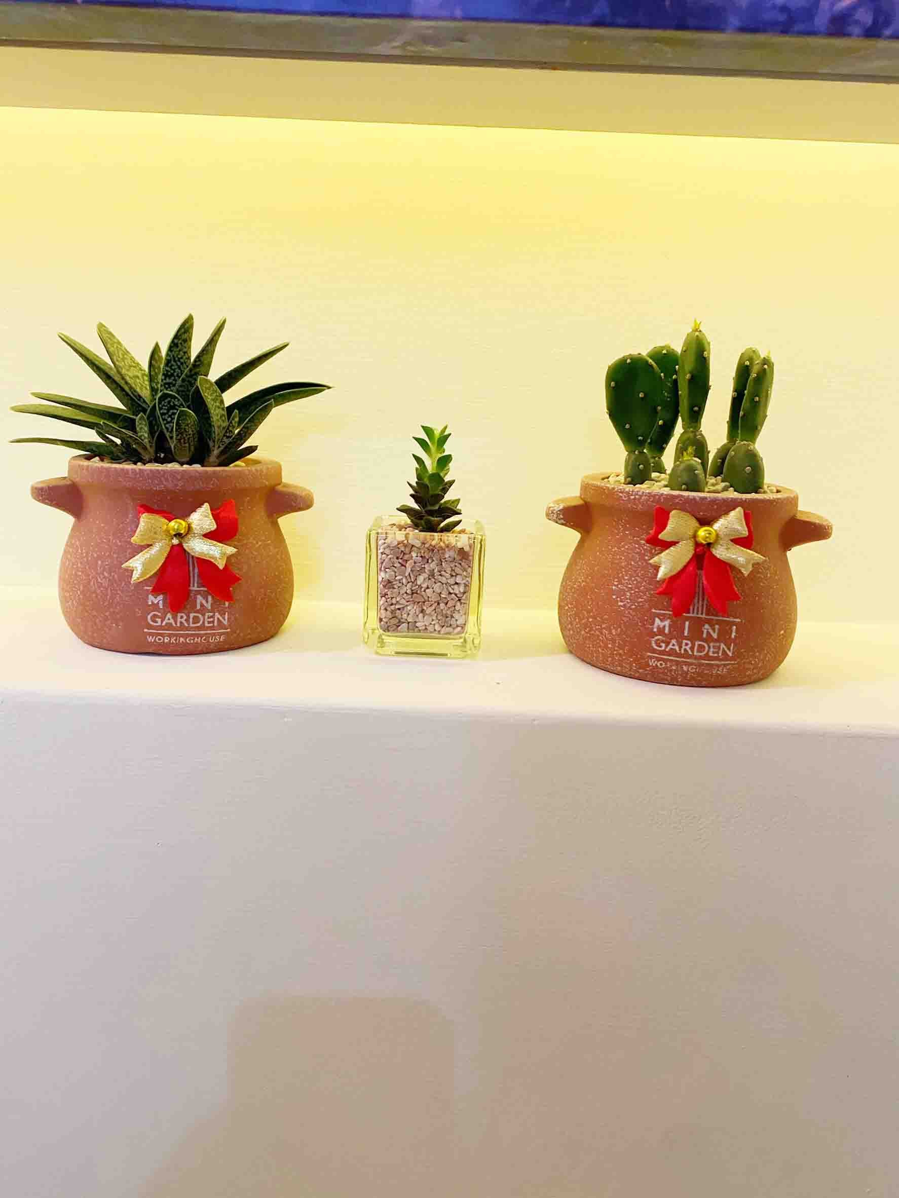 海晴民宿館內照片