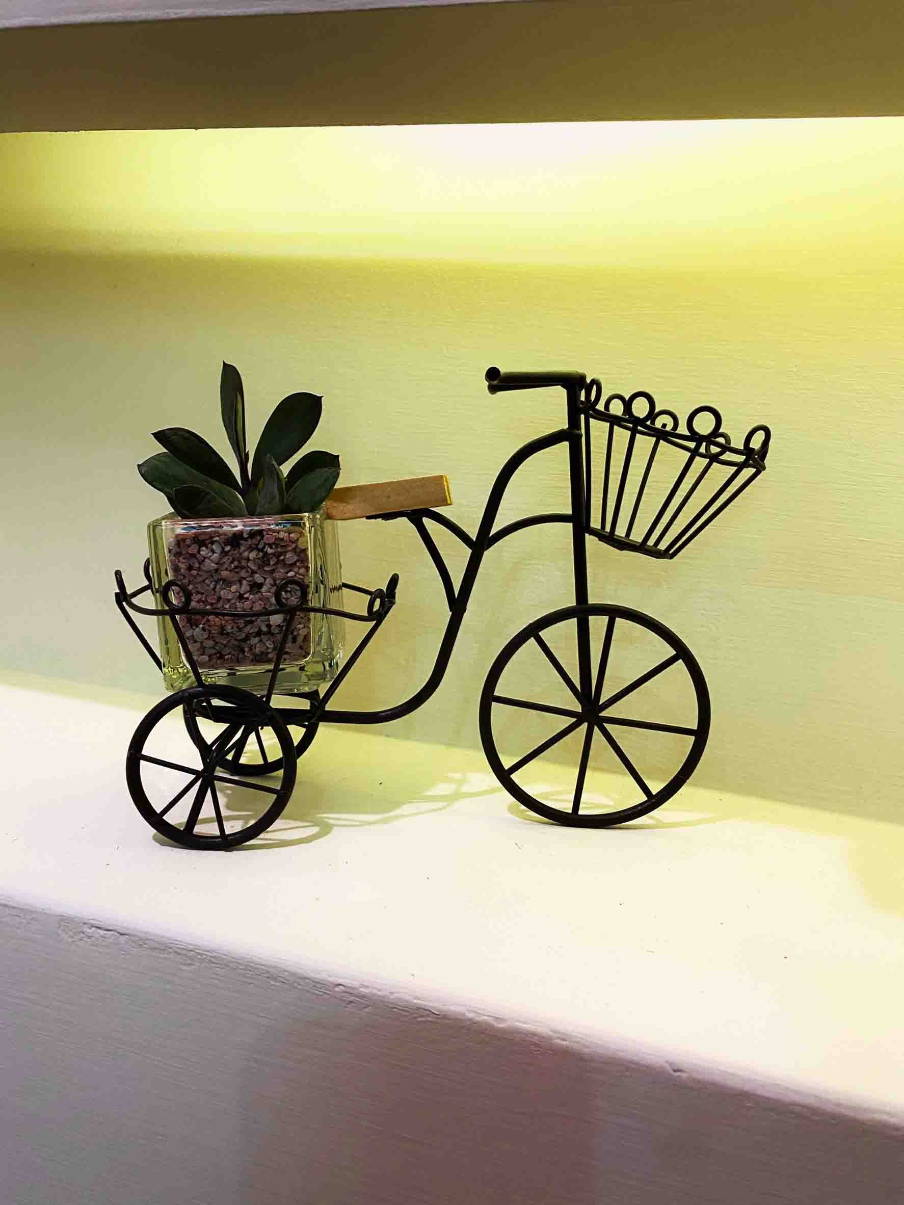 海晴民宿館內照片