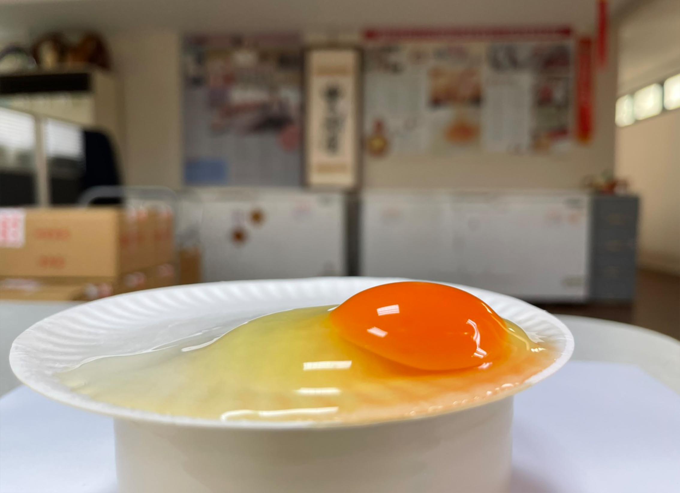 豐鮮蛋10粒裝