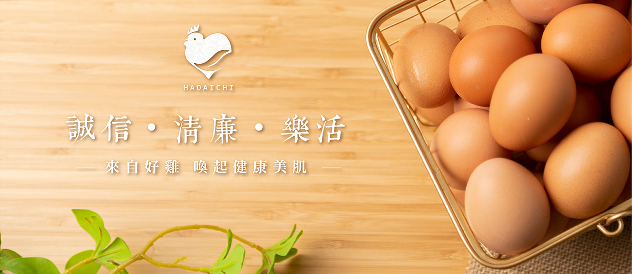 好愛雞