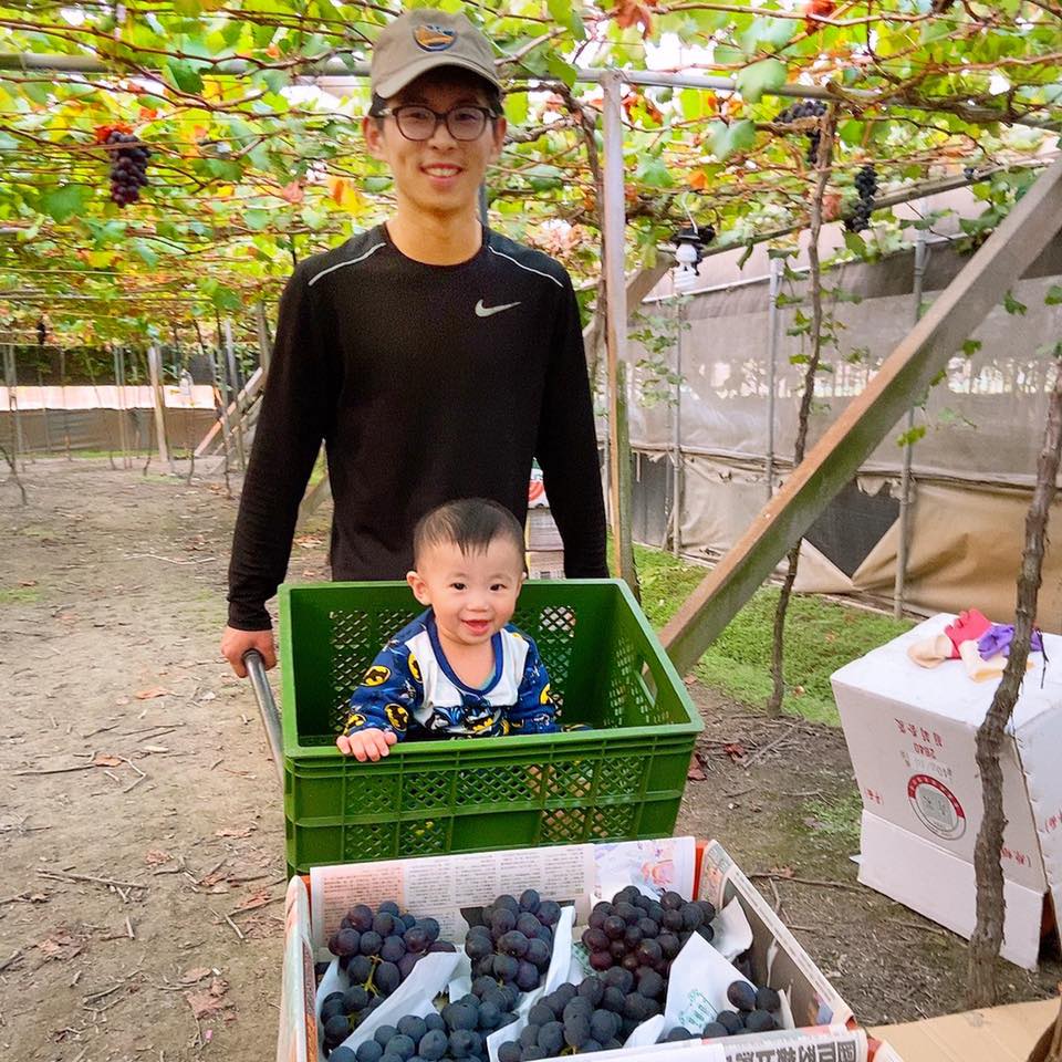葡蘿旺斯葡萄莊園