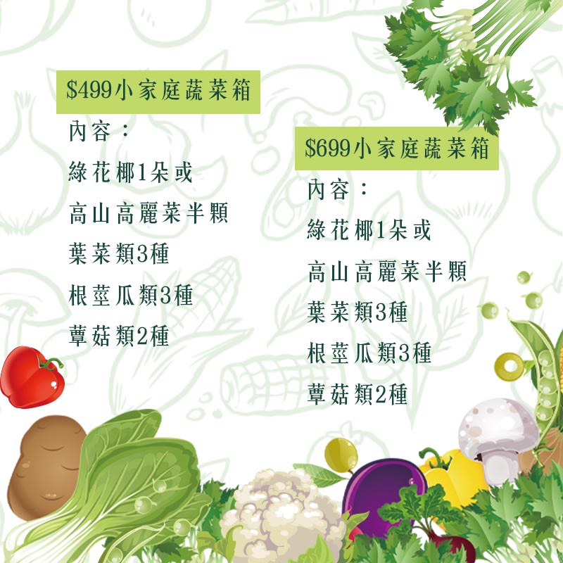 蕈菇類