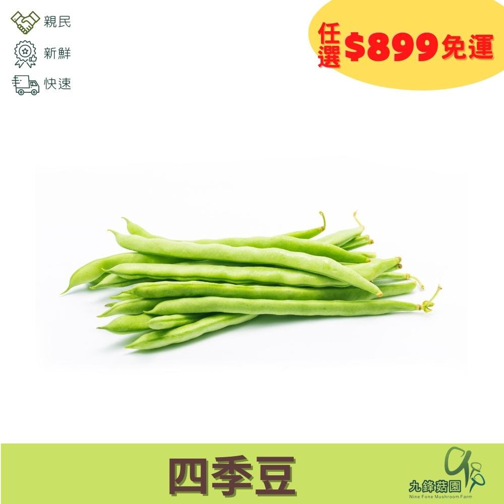 四季豆