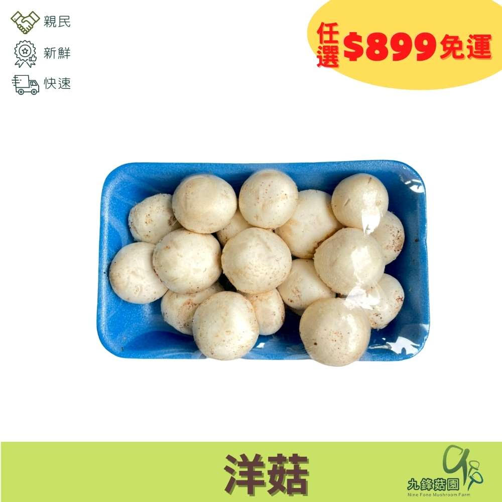 洋菇