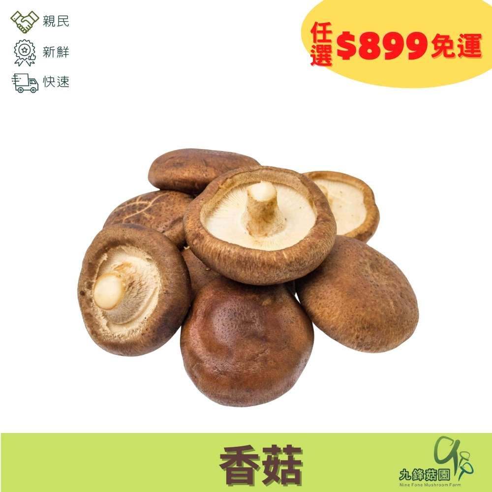 香菇