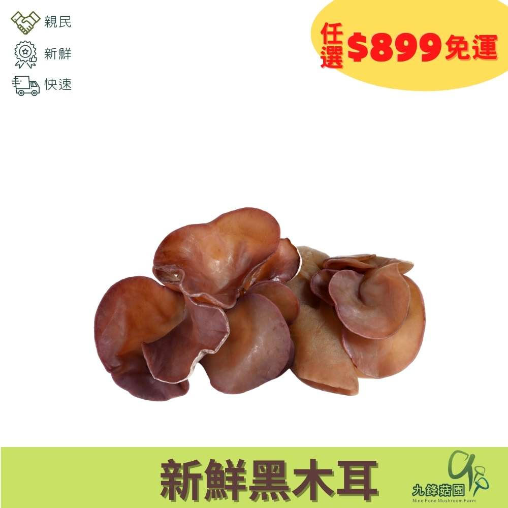 新鮮黑木耳