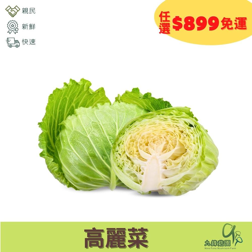 高麗菜
