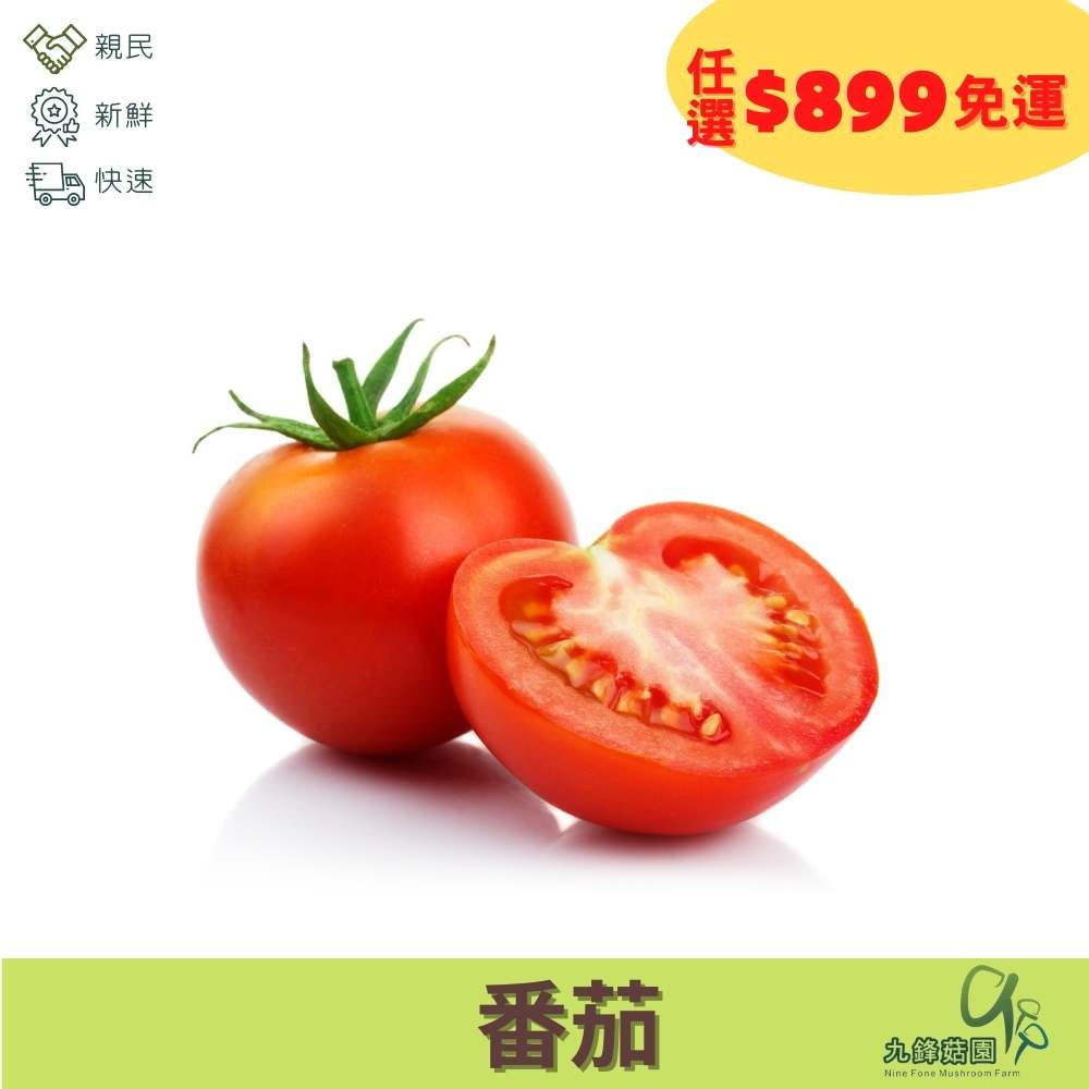 番茄